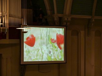 IMG_0020